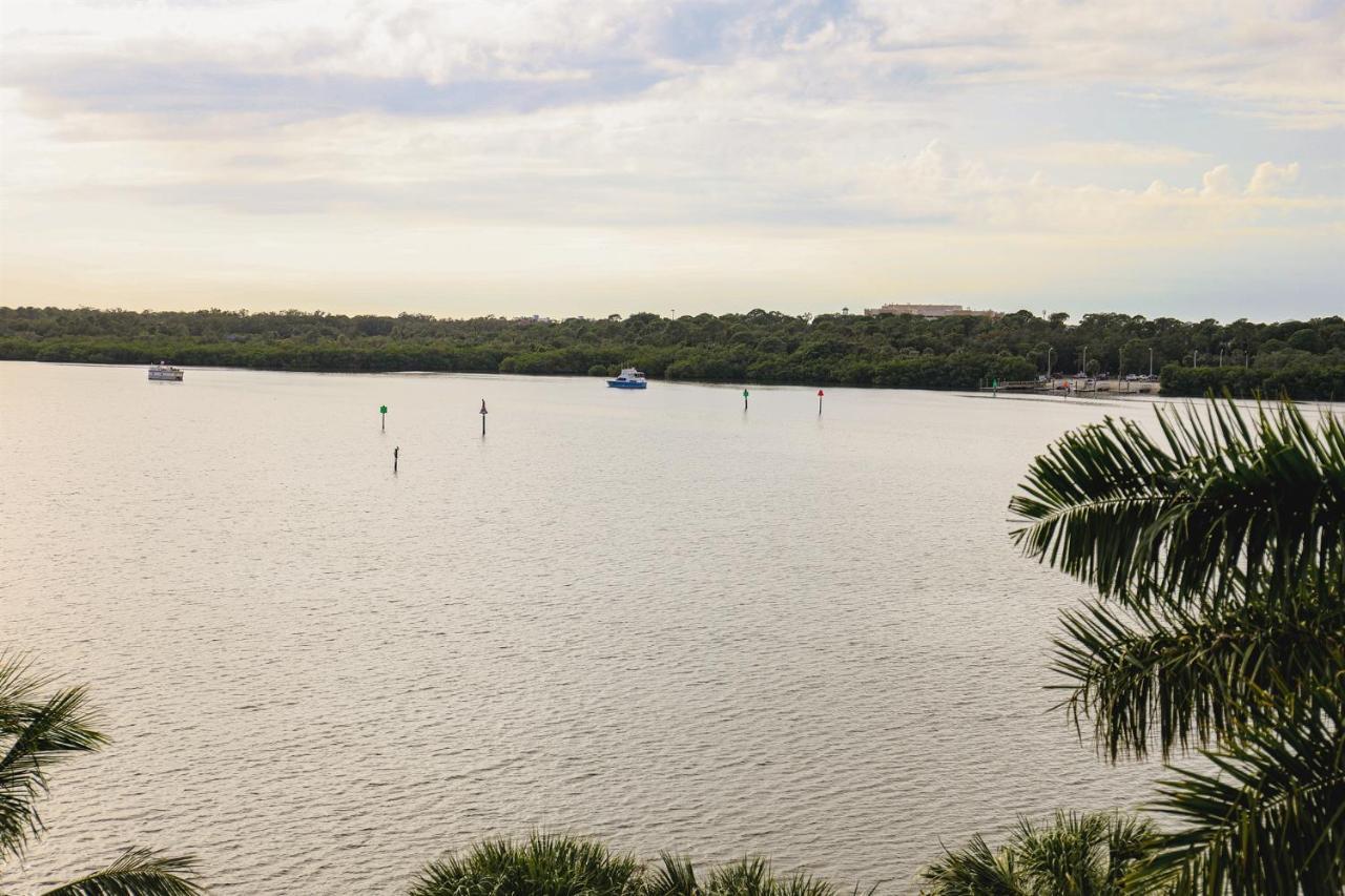 Dolphin Bay In Boca Ciega Resort - 2Br, Pool, Bay View 세인트피터즈버그 외부 사진